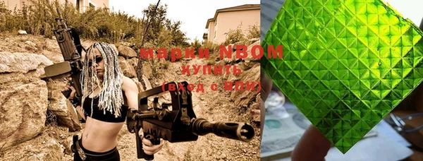 шишки Осташков