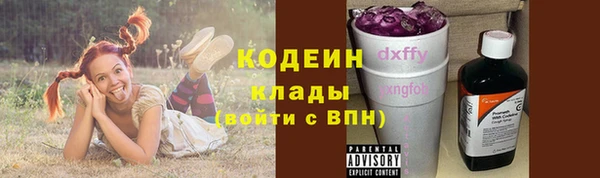 шишки Осташков
