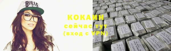 шишки Осташков