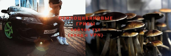амф Осинники