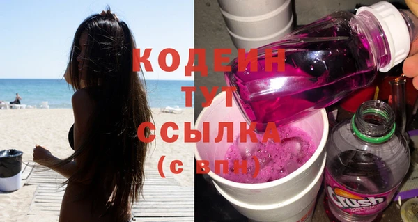шишки Осташков
