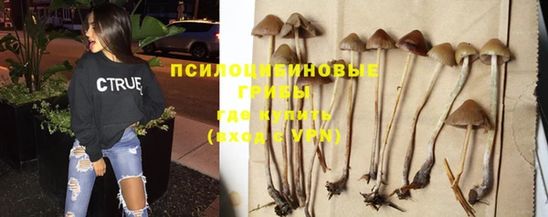шишки Осташков