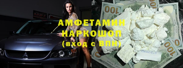 шишки Осташков