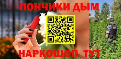 крисы Дубна