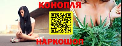 крисы Дубна