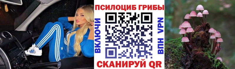 где продают наркотики  Сокол  Галлюциногенные грибы Psilocybe 