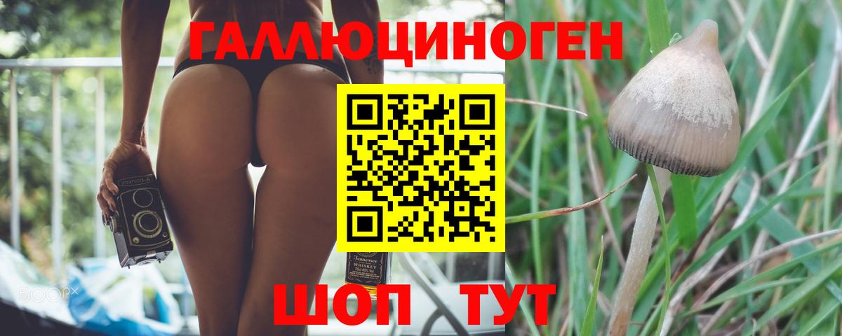 купить закладку  Галлюциногенные грибы GOLDEN TEACHER  Вход с VPN  Сокол 